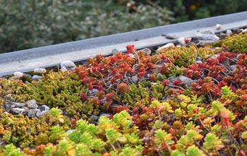 the cost of Tilbury Juxta Clare green roof installation