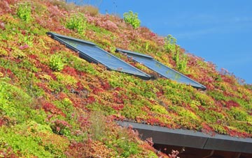 Tilbury Juxta Clare living roof systems