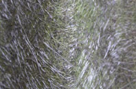 Tilbury Juxta Clare fibreglass roof work